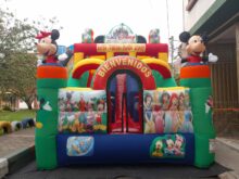 TOBOGÁN INFLABLE MUNDO DE DISNEY 3D