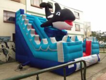 TOBOGÁN INFLABLE TEMÁTICO ORCA