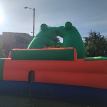 TOBOGÁN INFLABLE TEMÁTICO SAPITO